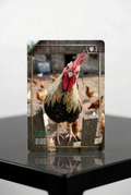 Bird Token realistic